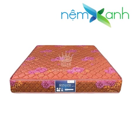 nlx-vanthanh-royal-tricat-03