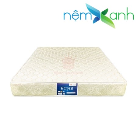 nlx-vanthanh-royal-tricat-2-m-03